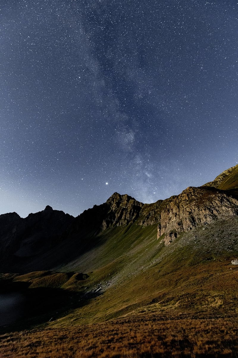 Starry Feasts